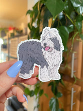 Load image into Gallery viewer, Old English Sheepdog Sticker
