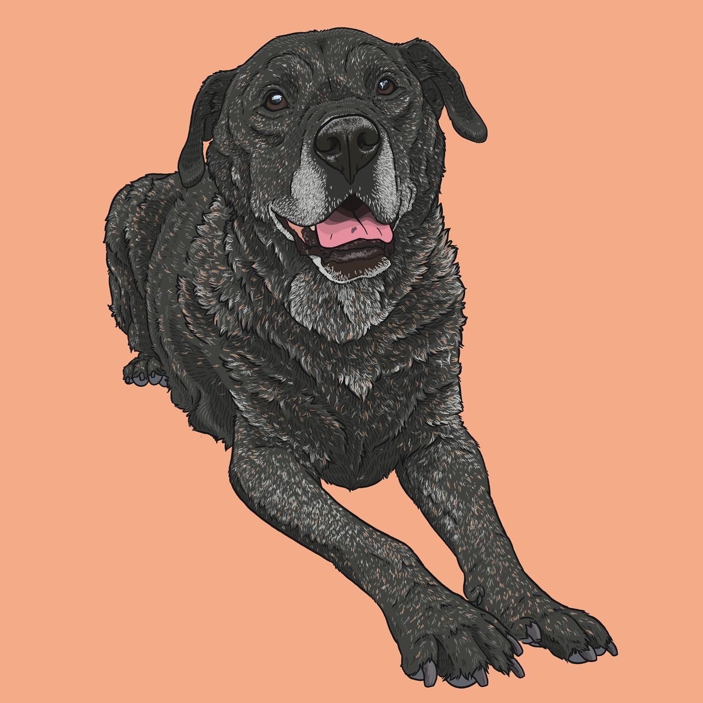 Custom Pet Portrait