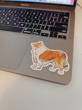 Load image into Gallery viewer, Rough Collie Sticker