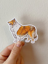 Load image into Gallery viewer, Rough Collie Sticker
