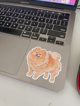 Load image into Gallery viewer, Pomeranian Sticker