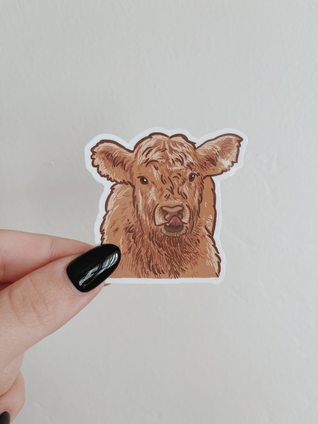 Baby Highland Cow Sticker
