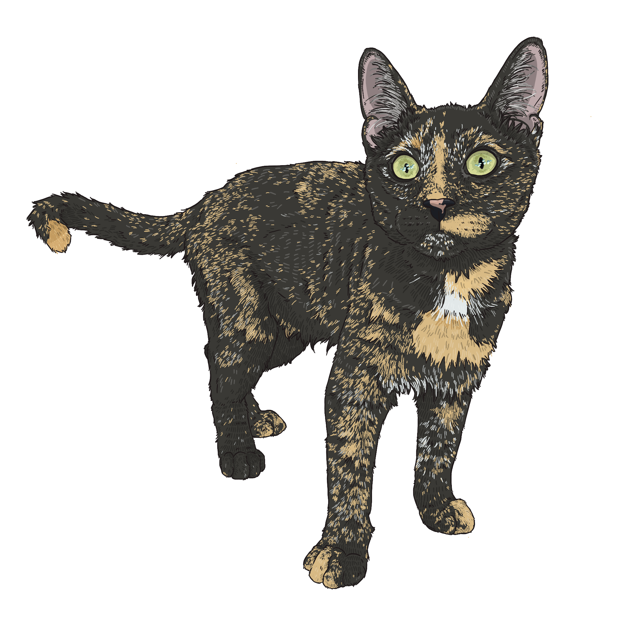 Custom Pet Portrait
