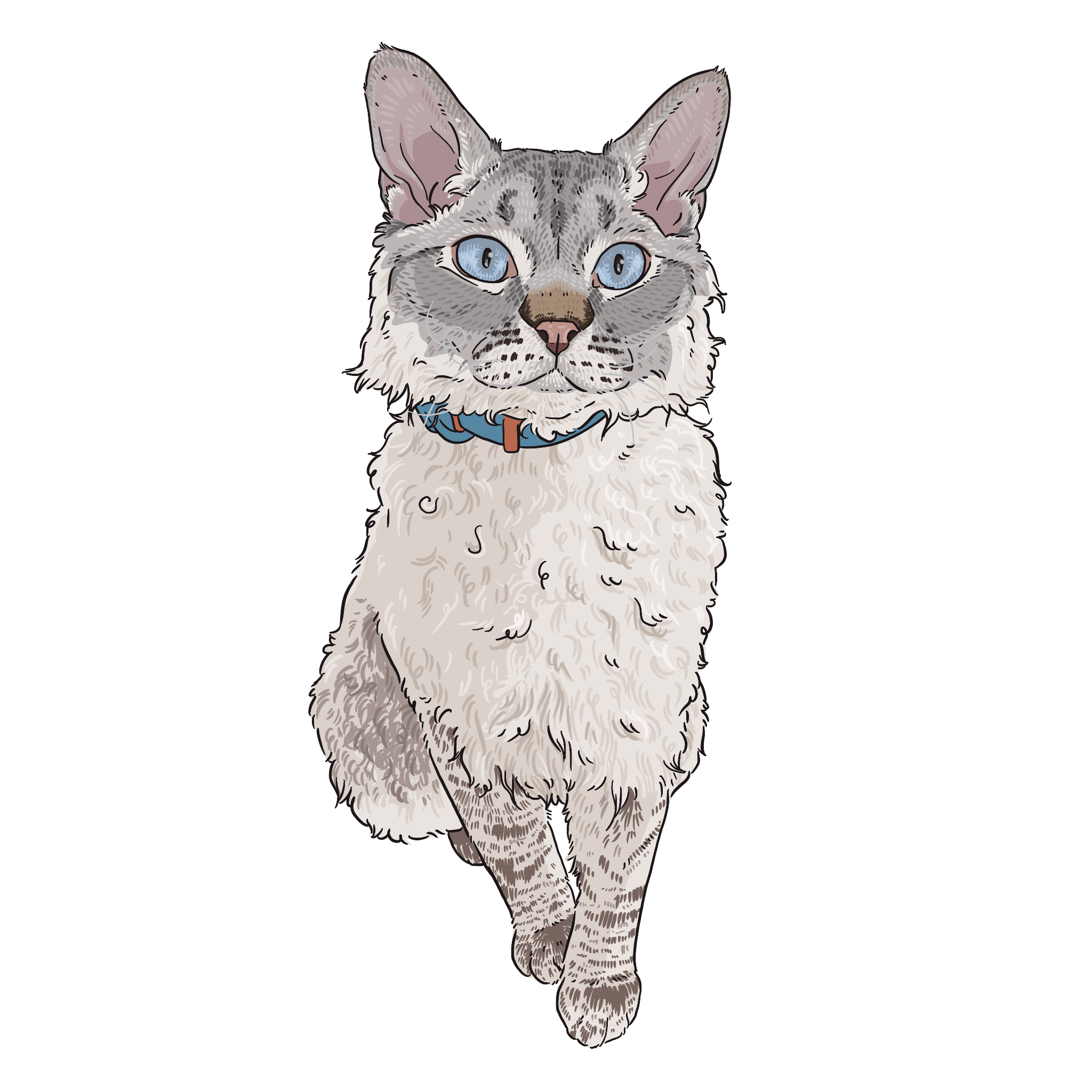 Custom Pet Portrait