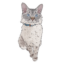 Custom Pet Portrait