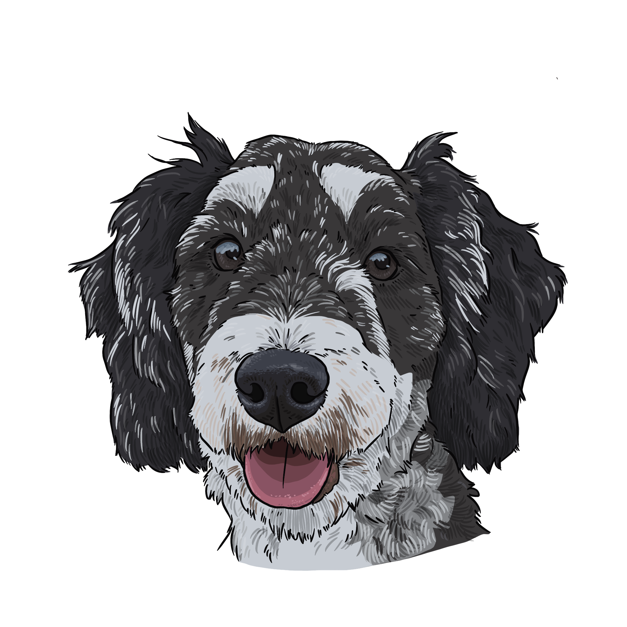 Custom Pet Portrait