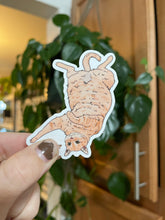 Load image into Gallery viewer, Orange Tabby Cat Sticker