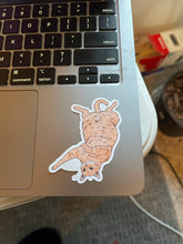 Load image into Gallery viewer, Orange Tabby Cat Sticker