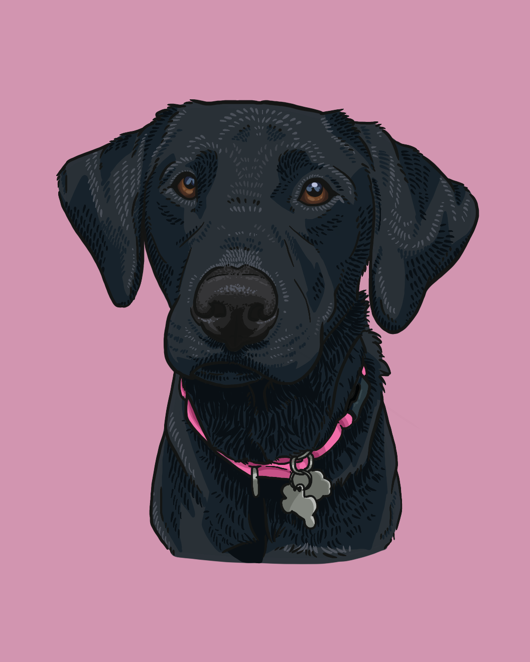 Custom Pet Portrait