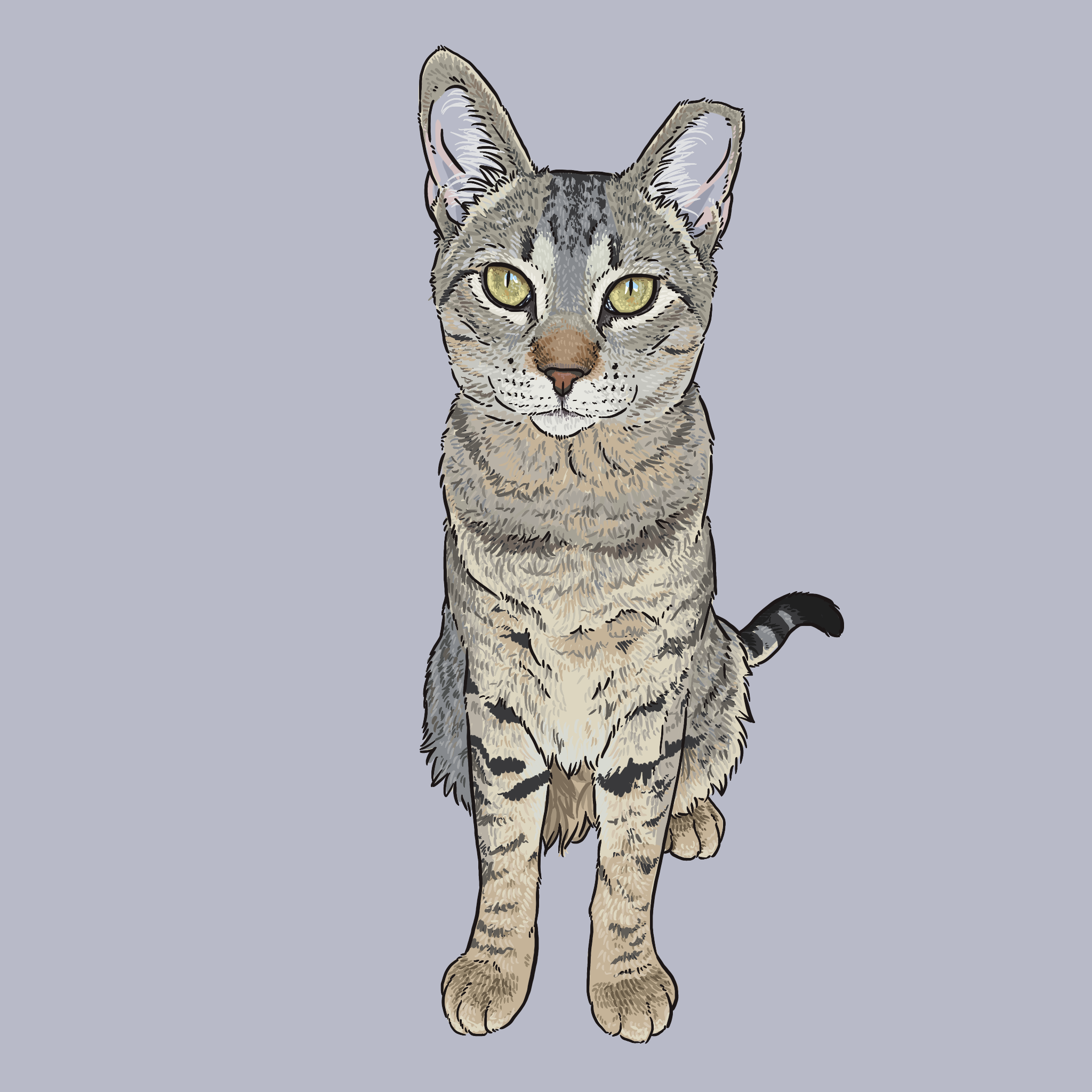 Custom Pet Portrait