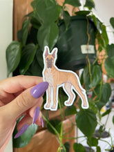 Load image into Gallery viewer, Great Dane Sticker
