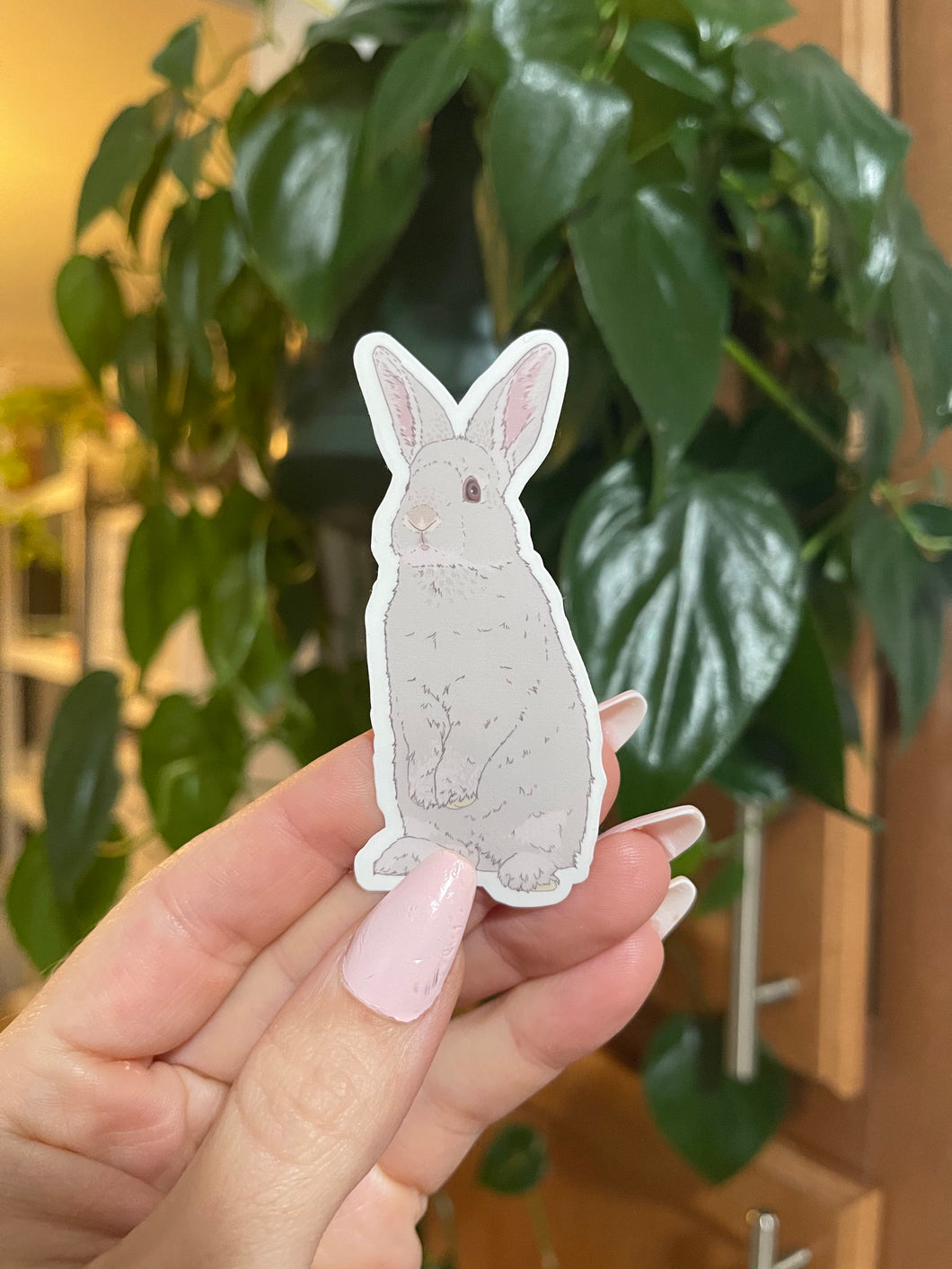 Gray Rabbit Sticker