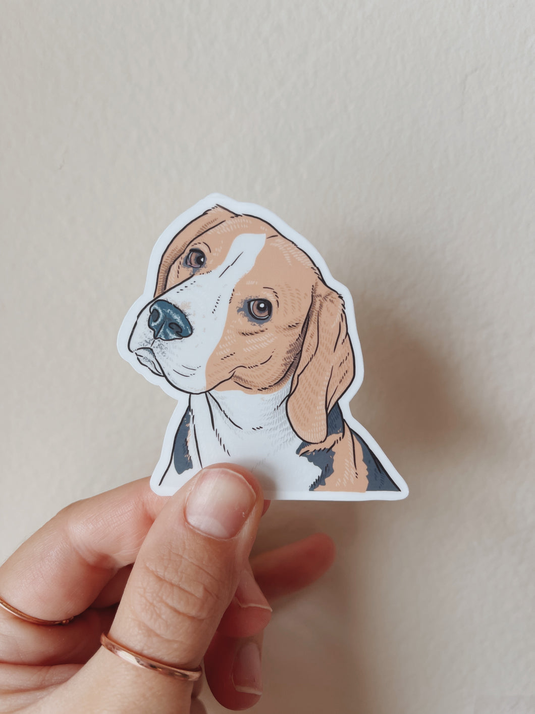 Beagle Portrait Sticker