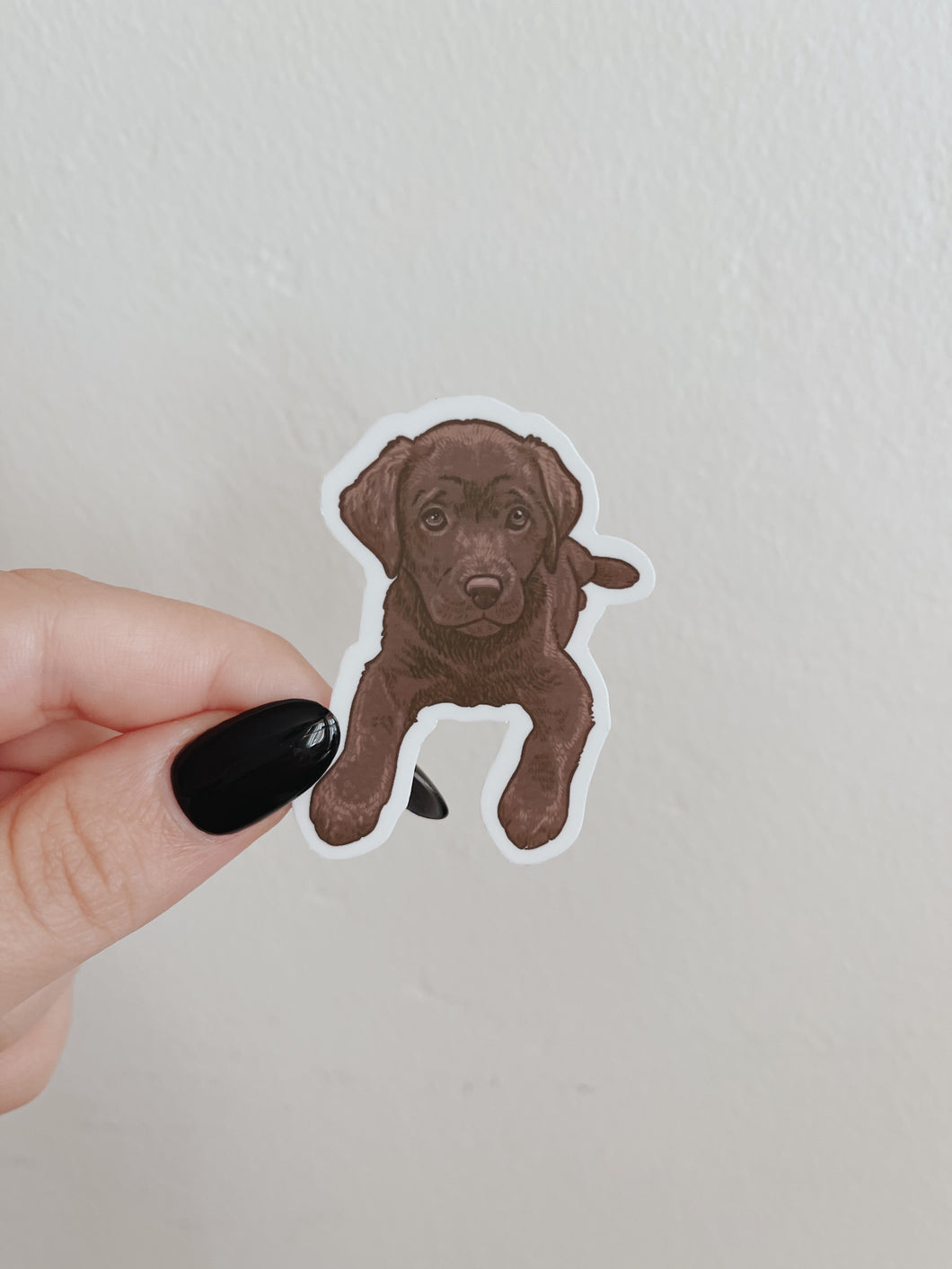 Chocolate Labrador Puppy Sticker