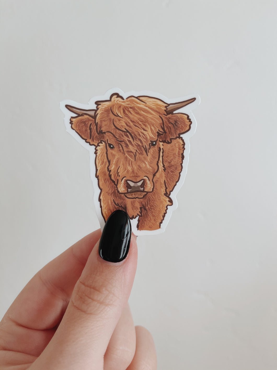 Red Highland Cow Sticker