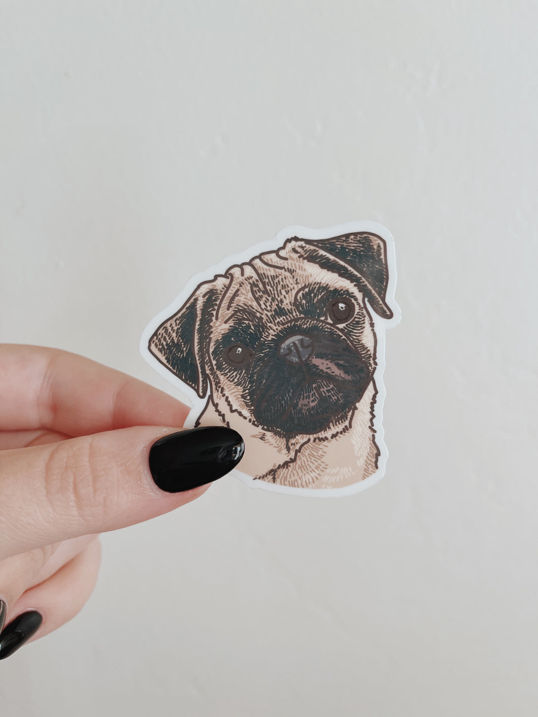 Pug Portrait Sticker