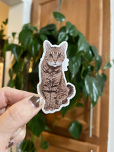 Load image into Gallery viewer, Brown Tabby Cat Sticker
