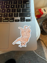 Load image into Gallery viewer, Orange Tabby Cat Sticker
