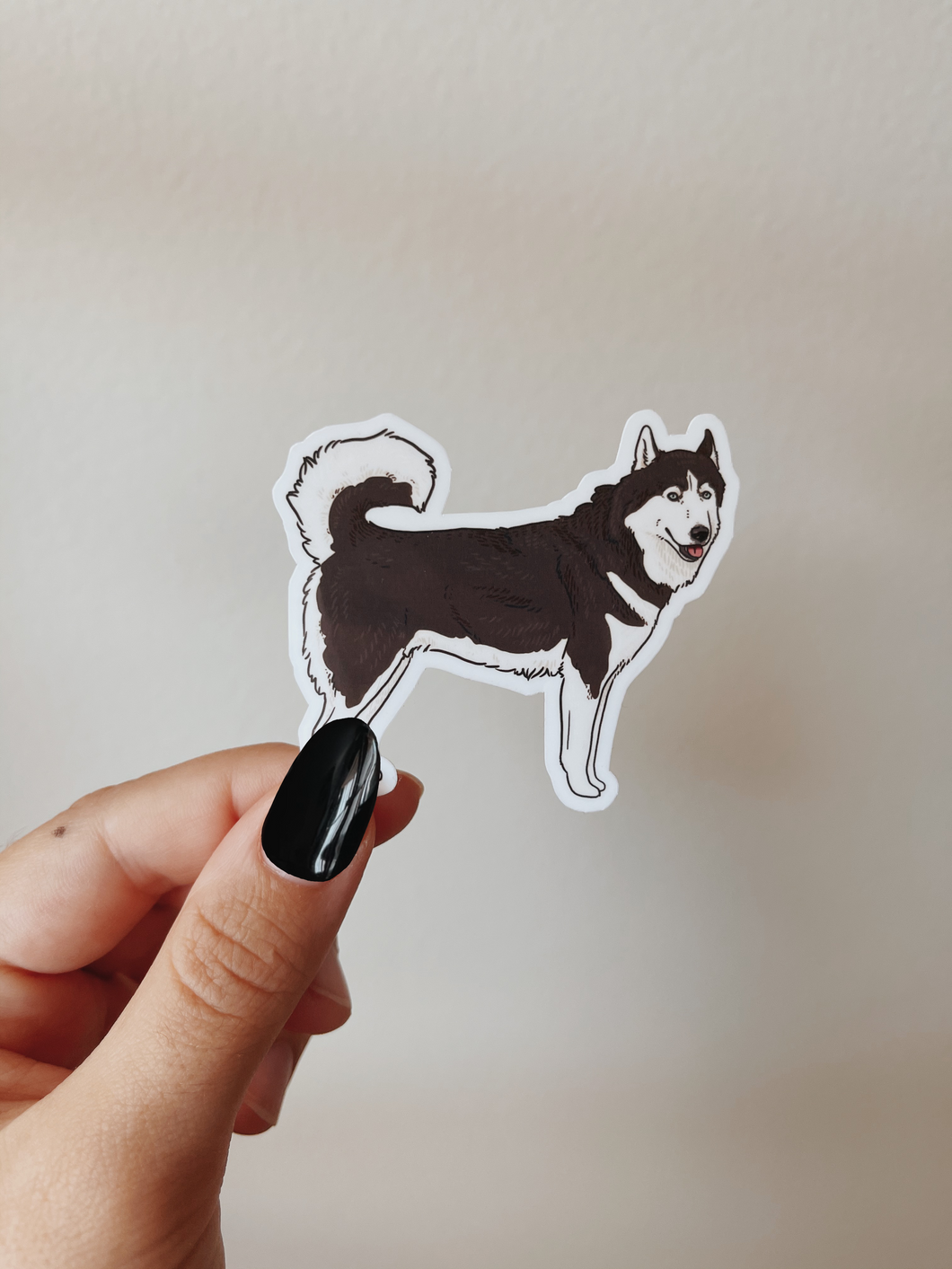 Black Siberian Husky Sticker